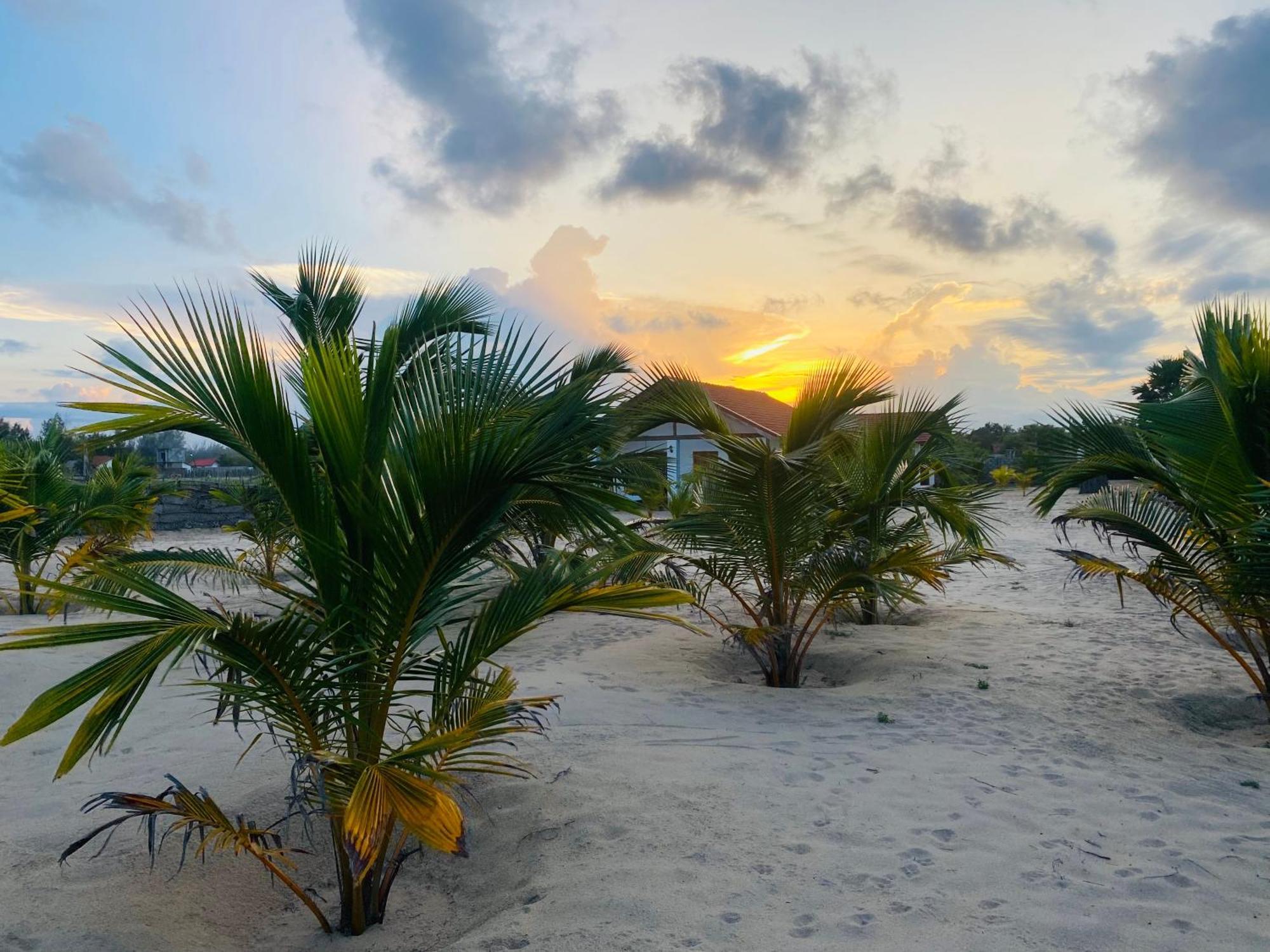 Oceano Beach Villa Arugam Bay Bagian luar foto