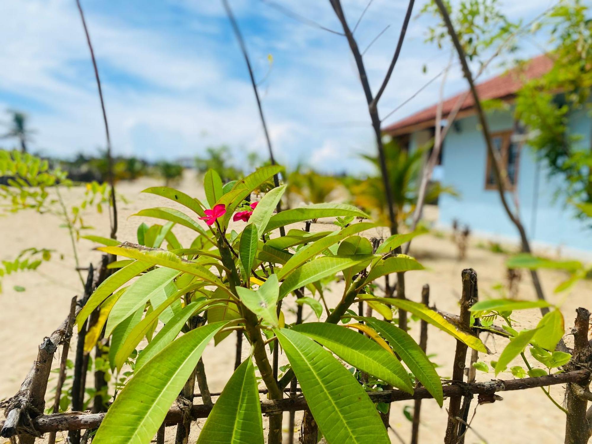 Oceano Beach Villa Arugam Bay Bagian luar foto